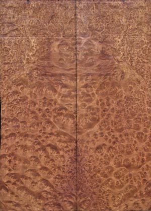 madrone M2